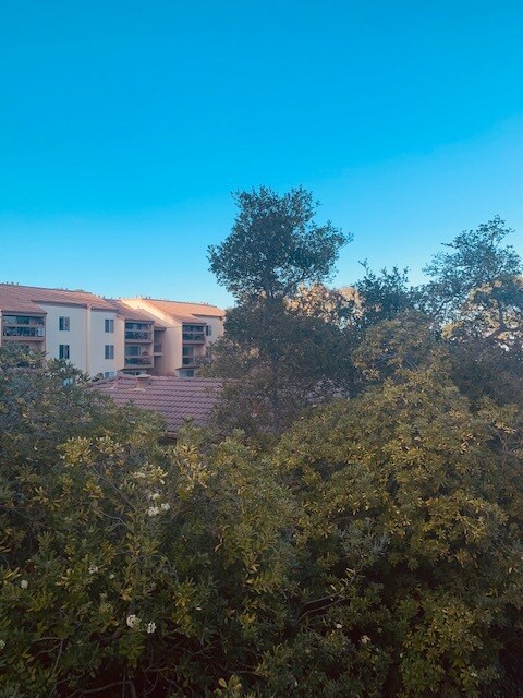Building Photo - 30 Monte Vista Dr