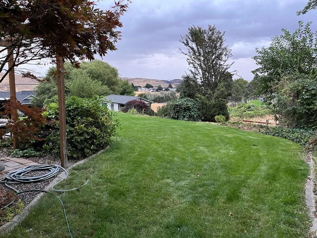Building Photo - Beautiful 3 Bedroom Home on 0.65 Acres wit...