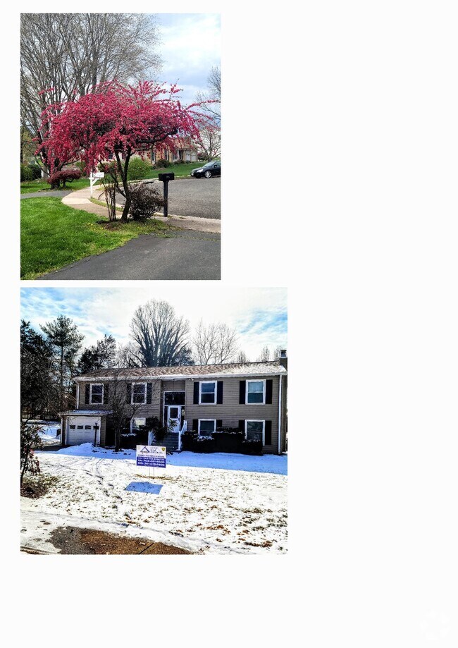 Apartments near Gainesville Square in Gainesville, VA Page 4