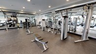 This fitness center is thoughtfully designed to support a full-body workout experience. The space is divided into two distinct functional zones: a cardio area and a strength training area, each outfitted with professional-grade equipment.

The cardio zone lines the exterior wall and benefits from abundant natural light streaming through a row of large windows with roller shades. The windows offer views of the surrounding greenery, creating an energizing atmosphere during workouts. This area houses multiple treadmills, elliptical machines, and stationary and cycling bikes, each equipped with individual digital display consoles.

The strength training zone features an extensive collection of cable and selectorized weight machines, adjustable benches, and a free weight section complete with a full dumbbell rack and wall-mounted storage for medicine balls and stability equipment. Full-length mirrors line the walls throughout the strength area, enhancing the sense of space and allowing users to monitor their form.

The flooring throughout consists of durable rubber sport flooring, providing both safety and comfort underfoot. Overhead, exposed metallic HVAC ductwork adds an industrial design touch, while recessed lighting ensures the entire space is evenly and brightly illuminated. The clean white walls and neutral tones contribute to a modern, professional aesthetic throughout the facility.