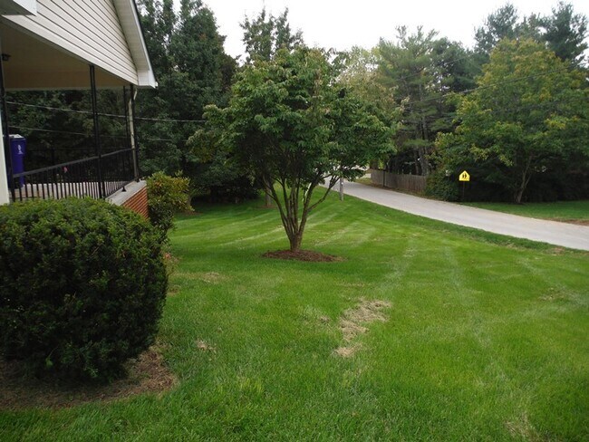 Foto del edificio - Blacksburg, 3 BR / 2 BA, Available Feb 1st