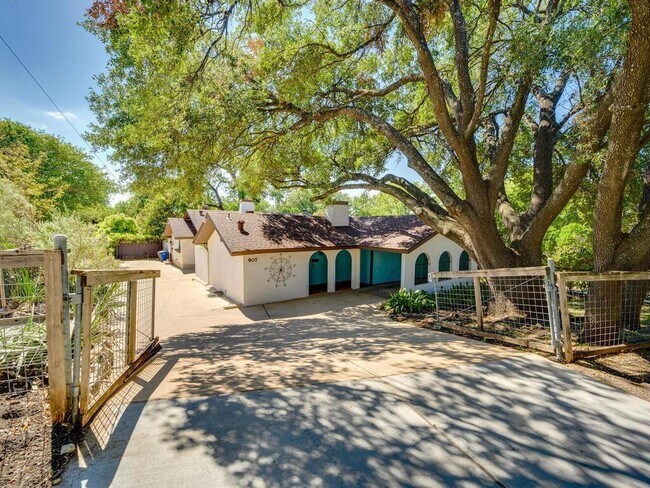Building Photo - 907 E Live Oak St