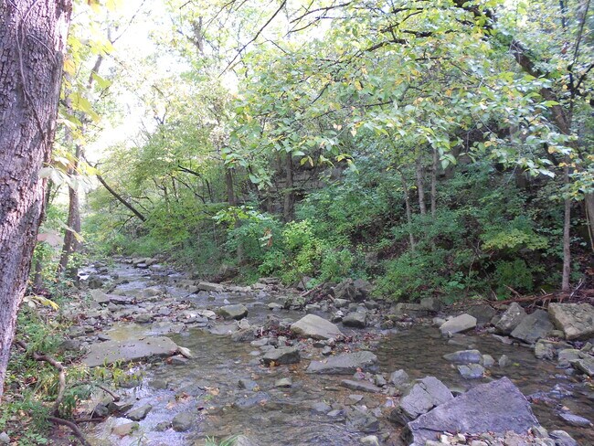 Foto del edificio - 2972 Maple Street Hollister MO