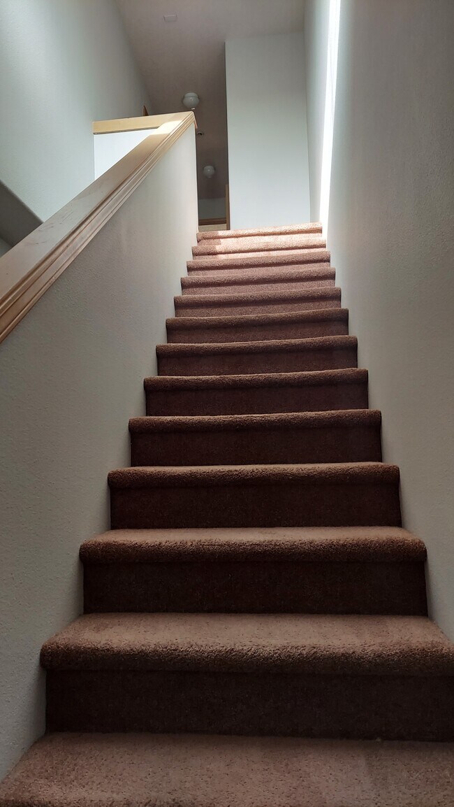 Stairs - 4747 SW 1st Avenue