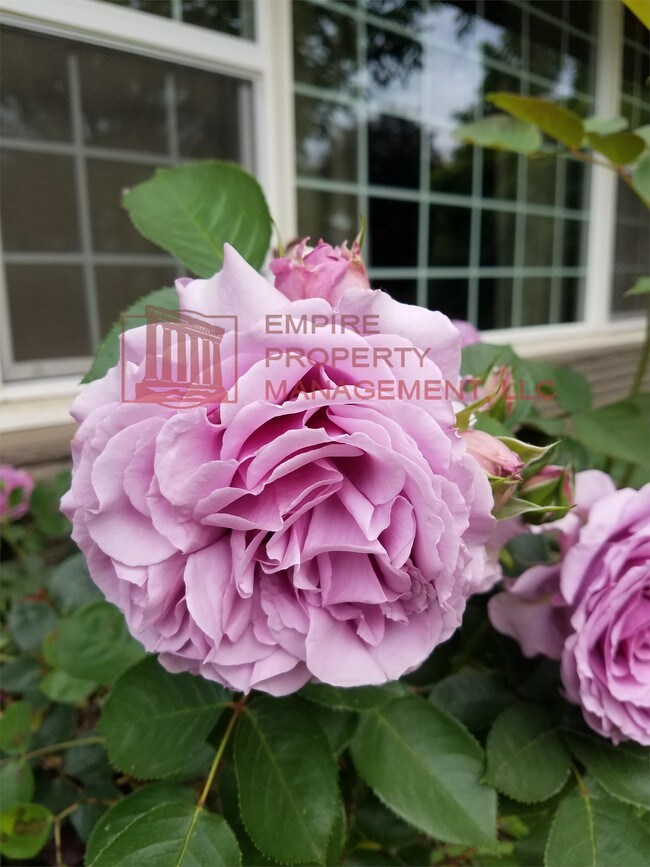 Foto del edificio - 644 Taney St