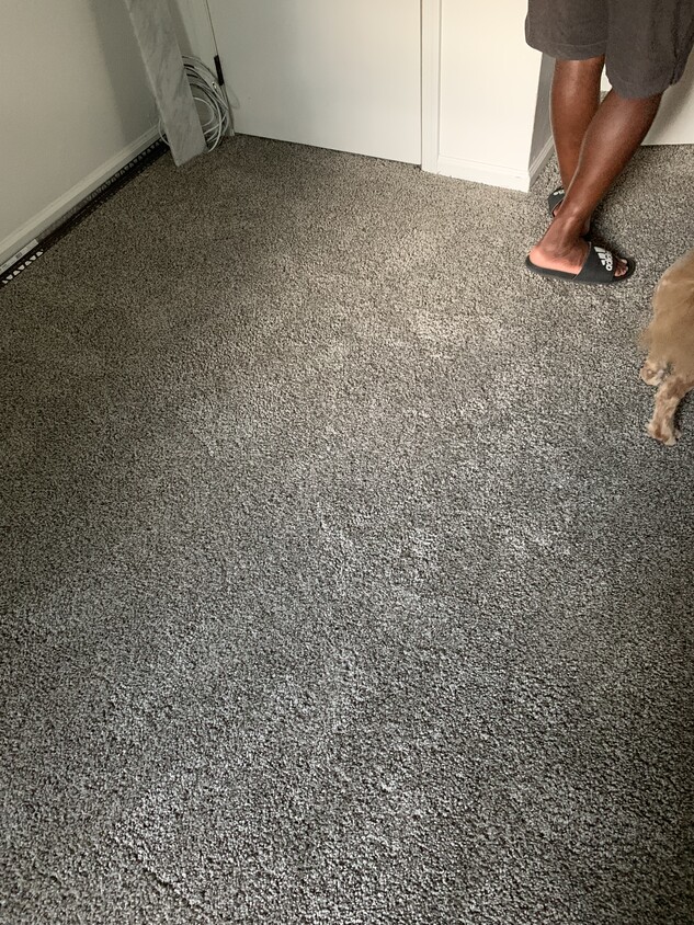 New Carpets Room 1 - 8033 Redmon Rd