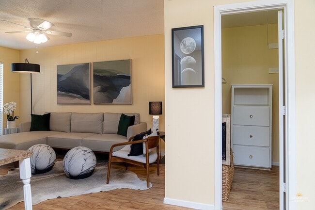 Studio layout - West Campus Flats