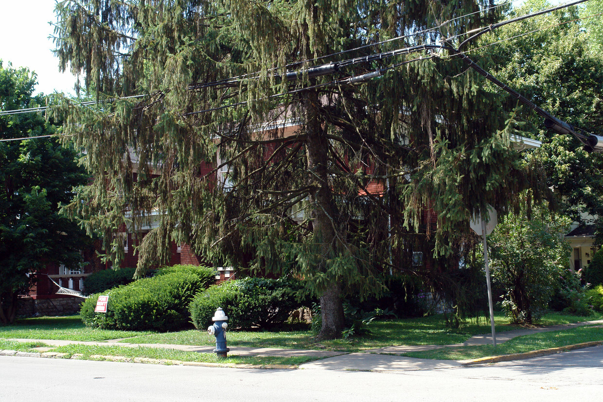 Building Photo - 324 E Maxwell St