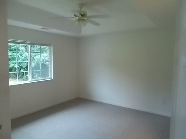 Tray Ceilings in bedroom - 3995 Hidden Hollow Dr