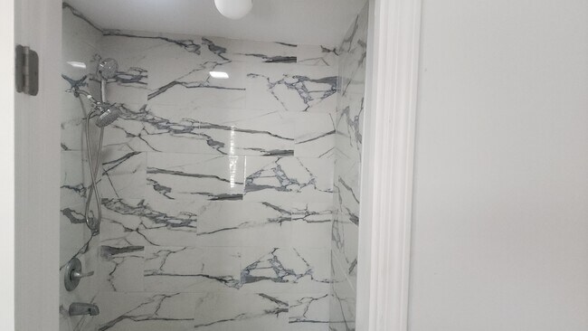 Renovar el baño y la ducha. - 735 Lees Ln