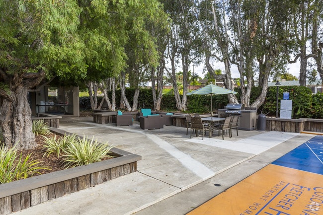Other - Colonnade at Fletcher Hills