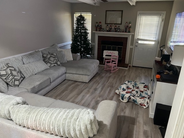 Foto del edificio - 112 Irma Ln