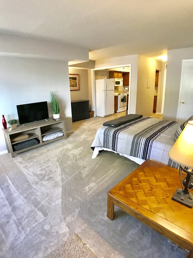 Open area and living space - 517 E 17th St