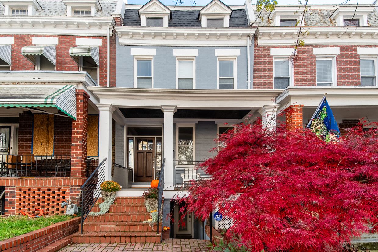 Entrance down the stairs - 32 W St NW