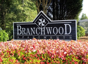 Branchwood Photo