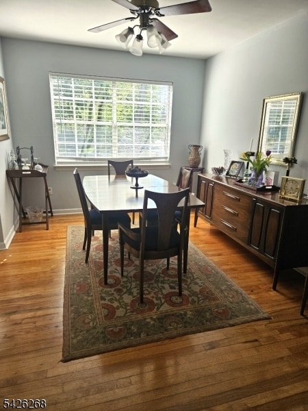 Building Photo - 800 Old Springfield Ave