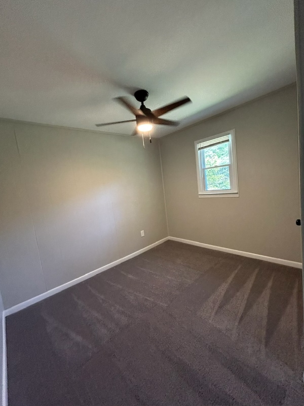 Building Photo - 50 Lyon St