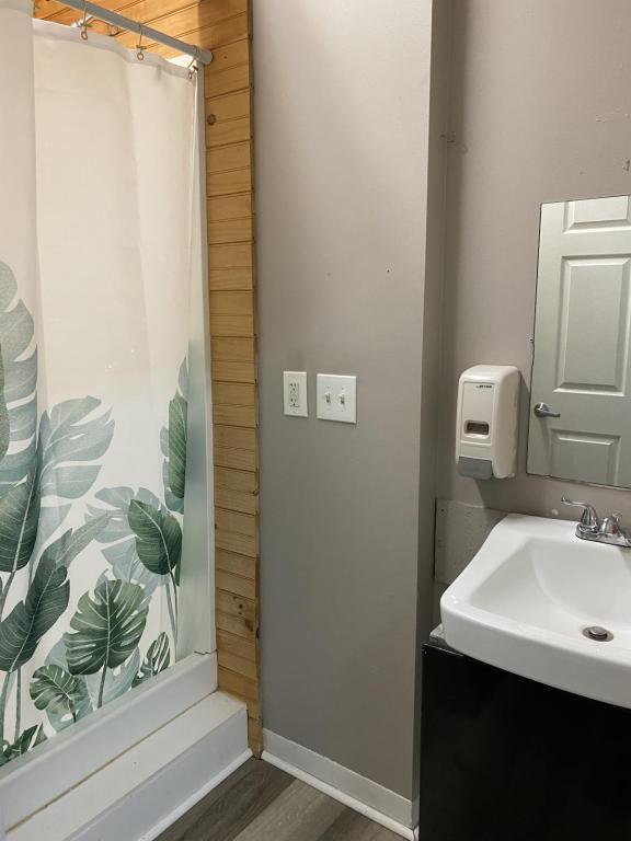 Building Photo - 527 Cumberland St