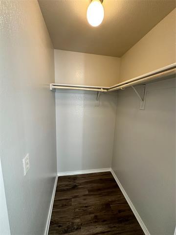 Building Photo - 440 Canvas Ct