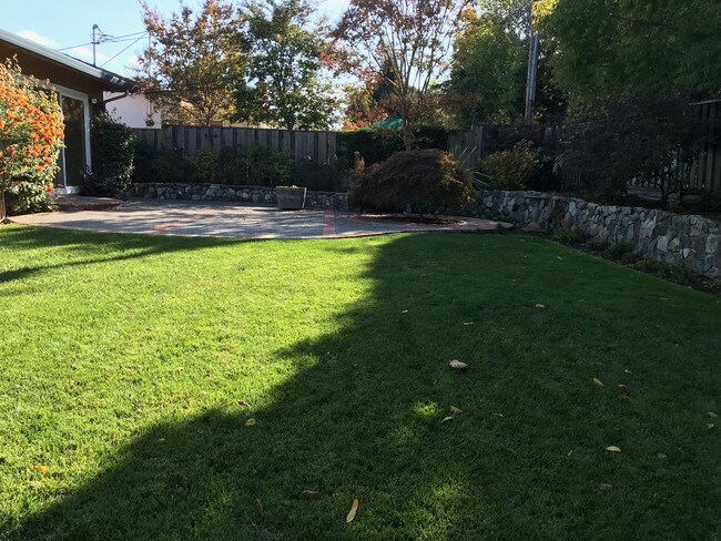 Building Photo - 302 Madrone Ave