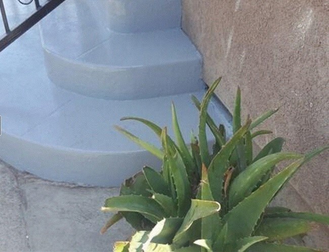 Building Photo - 1588 E 45th St