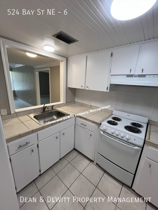 Building Photo - 524 Bay St NE