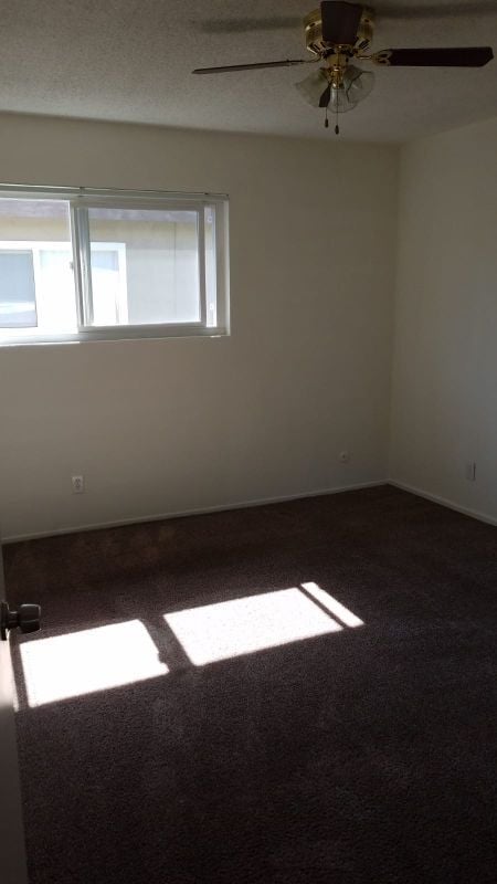 Building Photo - 1125 Nicklett Ave
