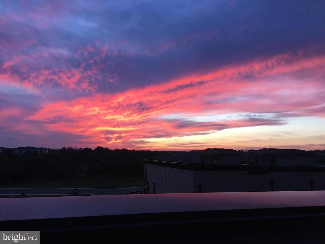 20578 Milbridge Terrace, Ashburn, VA 20147 Condo for Rent in Ashburn