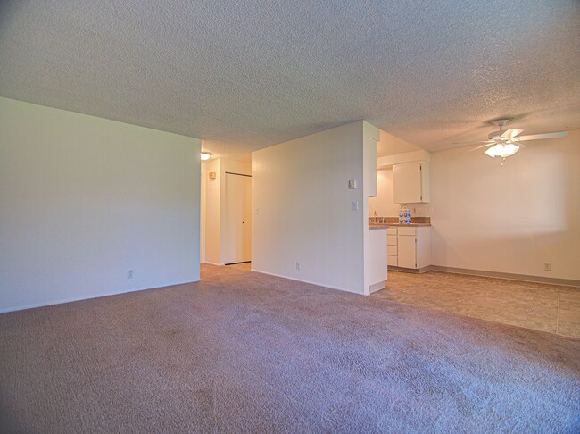 Interior Photo - #314 THE MAPLES APARTMENTS