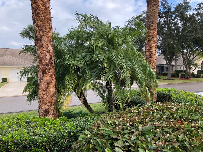 Foto del edificio - 20606 Candlewood Holw