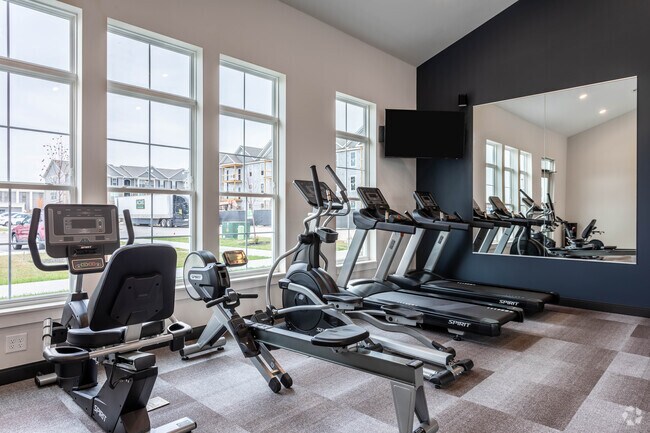 Gimnasio - Hayden Park