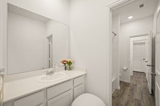 Building Photo - 3019 Live Springs Ct