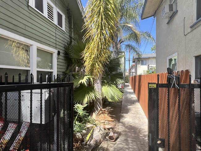 Walking into the yard - 1241 E Florida St