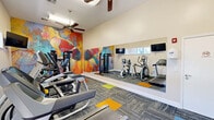 Located at 3090 Alabama River Parkway in Montgomery, Alabama, this single-room fitness center offers a well-equipped exercise space designed to support a variety of workout routines. The room is outfitted with Matrix-brand cardio machines, including a treadmill, two elliptical trainers, and a stationary bike, providing ample options for cardiovascular exercise. An Inspire multi-function strength training machine anchors one corner of the room, enabling a range of resistance-based workouts.

A striking, large-scale abstract mural in bold reds, oranges, blues, and yellows covers an entire accent wall, giving the space a vibrant and energizing atmosphere. Two ceiling fans provide consistent air circulation throughout, while multiple wall-mounted flat-screen televisions allow users to stay entertained during workouts. A full-length wall mirror on one side visually expands the room and aids in monitoring exercise form.

The flooring consists of durable, patterned carpet tiles accented with colorful yoga mat squares in orange, yellow, and blue, adding functional flexibility for stretching or floor exercises. Horizontal windows along the upper walls allow natural light to filter in, brightening the space. The neutral, cream-toned walls and clean white trim contribute to a fresh, well-maintained environment suitable for daily fitness use.