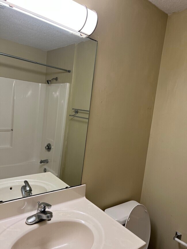 Baño, típico - 303 Smith Level Rd