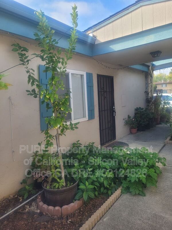 Building Photo - 900 Sobrato Dr