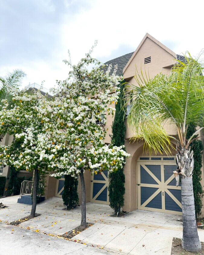 Primary Photo - 3313 Tica Dr