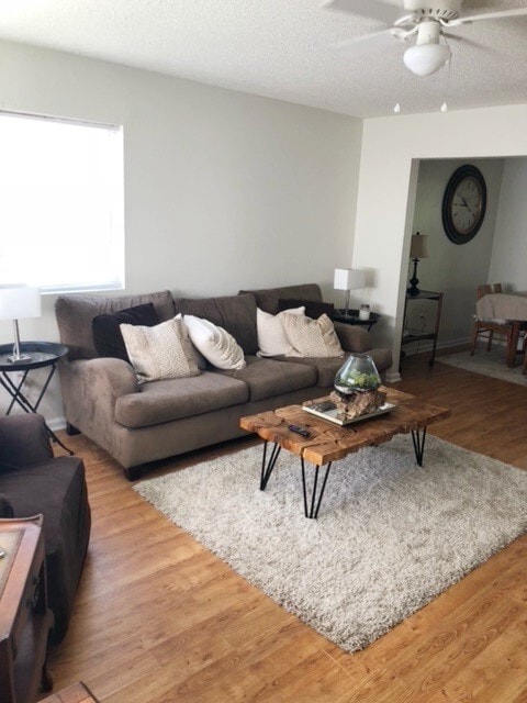 living room - 19 Amherst St