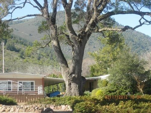 Building Photo - 8920 Soda Bay Rd