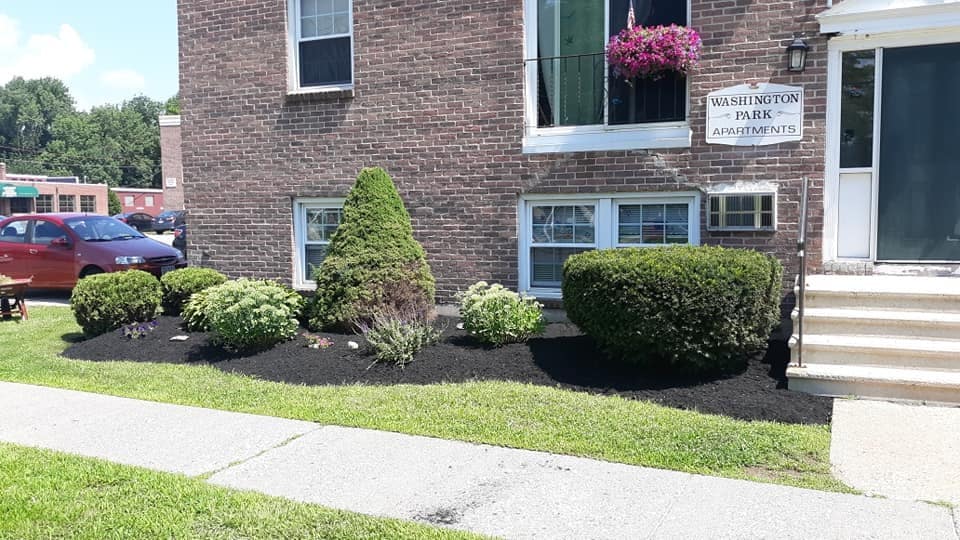 Primary Photo - Washington Park Apartments
