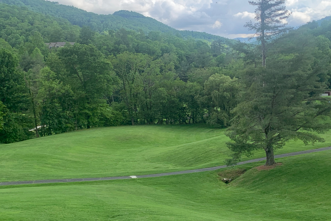 View from patio - 160 Mountain Club Dr