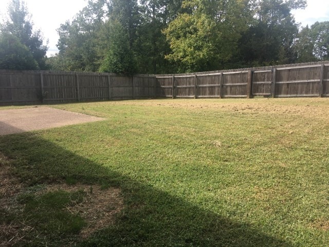 Foto del edificio - 1175 Cynthia Ln