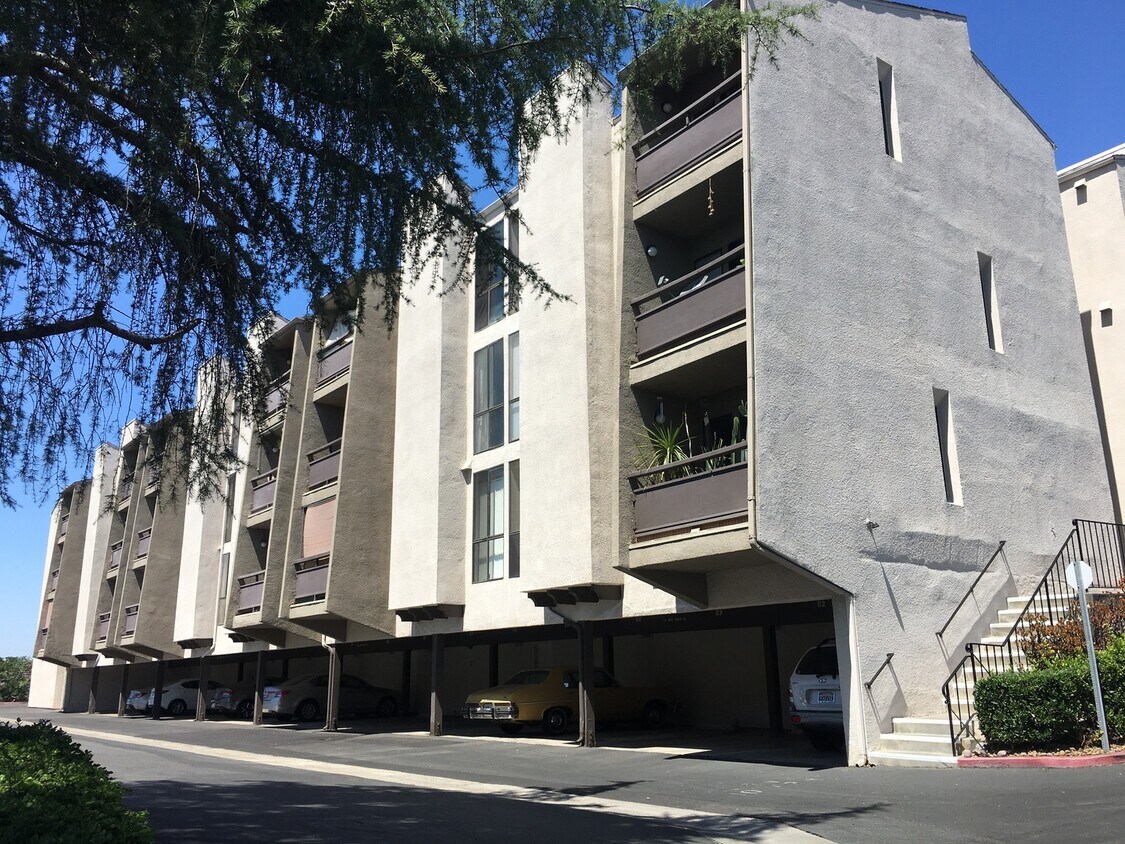 Foto principal - One Bedroom Condo in San Carlos!!