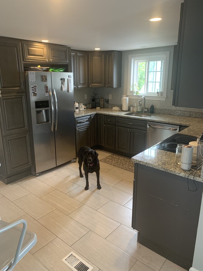 Updated kitchen (photo-bombing dog not included) - 40 W Dane St