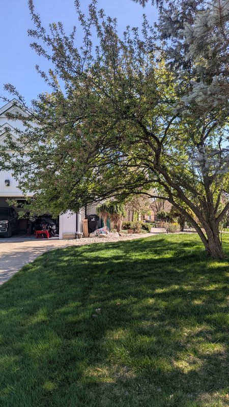 Foto del edificio - 30384 Castleford Ct