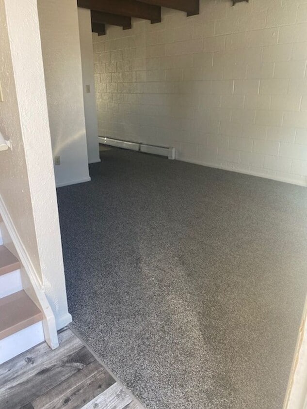 Primary Photo - Available Now!!!