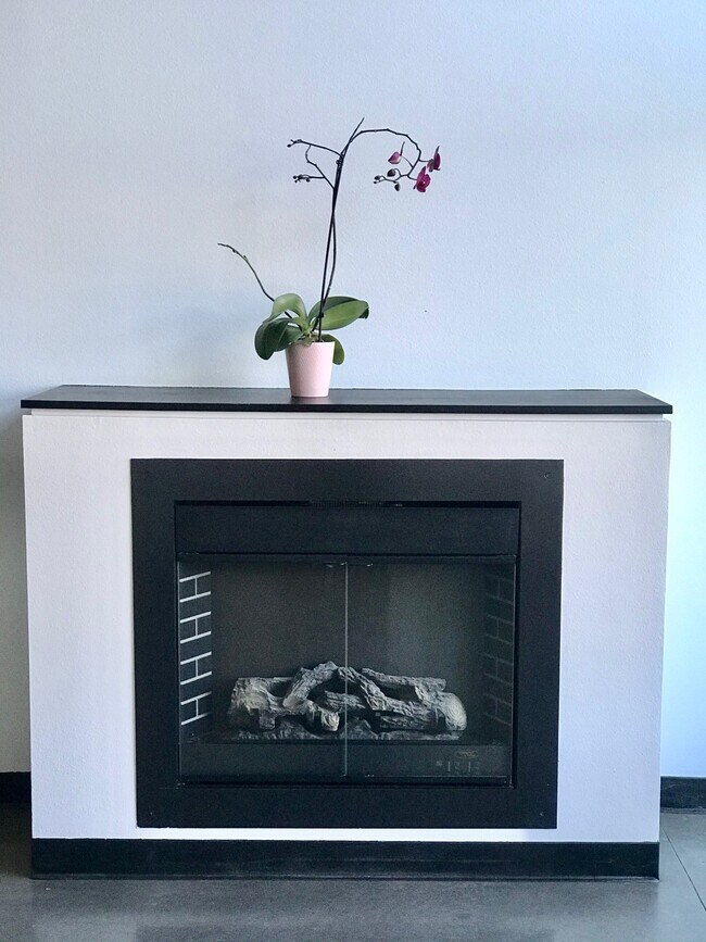 Electric Fireplace - 4422 Bagley Ave N