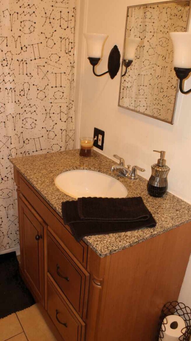 Downstairs bathroom - 4603 W Lake Shore Dr