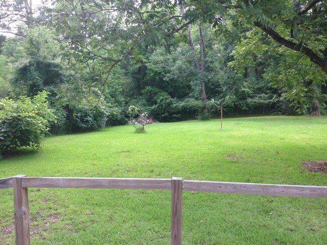 View from the back porch - 98 Cedar Ln