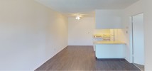 This single-floor space offers a clean, open-concept layout that seamlessly connects the living area and kitchen. The living room is bright and airy, featuring warm wood-style laminate flooring that runs throughout the main area, complemented by crisp white walls that maximize the sense of light and openness. A ceiling fan is centrally positioned, providing both function and a subtle design element overhead. The textured popcorn ceiling adds a classic residential character to the space. The kitchen is defined by a raised breakfast bar counter that separates it from the living area while maintaining the open feel. White cabinetry lines the kitchen, offering ample storage, and under-cabinet lighting adds a warm glow to the workspace. The appliances are integrated neatly within the cabinetry. The layout is efficient and practical, making good use of the available floor space. Overall, the unit presents a neutral, move-in-ready palette with consistent finishes throughout, making it easy to personalize. The combination of wood-style flooring, white surfaces, and an open plan gives the space a simple yet inviting ambiance suitable for everyday living.